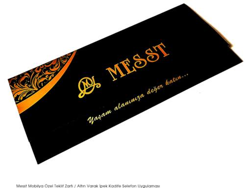 MESST Zarf